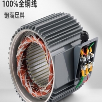 带电容的单相电机能用变频器调速吗？